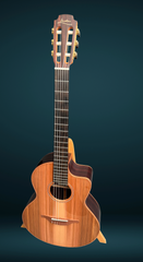 Lowden S25J nylon string guitar for sale