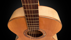 Ben Mannix OM Guitar with Bevel