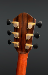 Ben Mannix OM Guitar with Bevel