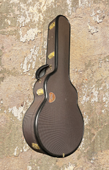 McPherson MG-4.5XP Acacia Guitar case