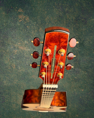 Michaud OM-R TREE Mahogany guitar bound headstock with recon stone inlay