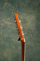 Michaud OM-R TREE Mahogany guitar neck side dots