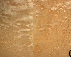 Olson SJ Birdseye Maple guitar with chatoyant back