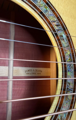 Olson Pink Ivory guitar interior brand