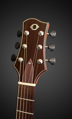 Olson Pink Ivory guitar headstock