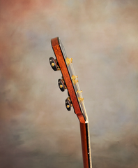 Olson SJ Brazilian rosewood guitar neck side dots