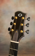 Olson SJ Brazilian rosewood guitar headstock