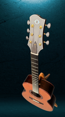 Olson SJ Brazilian rosewood guitar fun promo shot