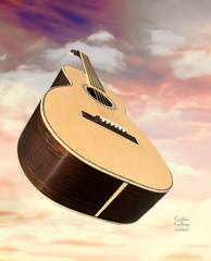 Osthoff Size 1 Brazilian rosewood guitar glam shot