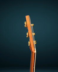 Osthoff the TREE Mahogany OM guitar neck side dots