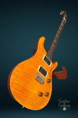 PRS Artist Series #244 electric guitar glam shot