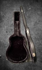 Rainsong APSE guitar case interior