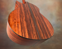 Rasmussen Madagascar rosewood model C cutaway guitar glam shot back