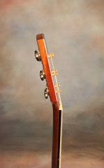 Rasmussen Madagascar rosewood model C cutaway guitar neck side dots