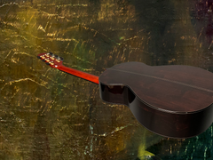 Rasmussen R-13 African Blackwood Guitar beautiful back