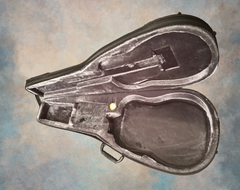 Rein RJN-5 Plum Pudding Mahogany guitar bag interior