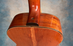 Rein RJN-5 Plum Pudding Mahogany guitar adjustable neck