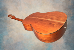 Rein RJN-5 Plum Pudding Mahogany guitar glam shot back