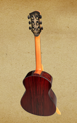Roggero RGo-S guitar full back view