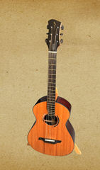 Roggero RGo-S guitar at GuitarGal.com