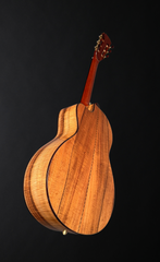 Ryan Abbey Parlor guitar glam shot back