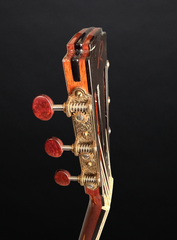 Ryan Abbey Parlor guitar tuners with snakewood buttons