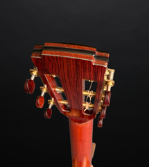 Ryan Abbey Parlor guitar headstock Ebony spline