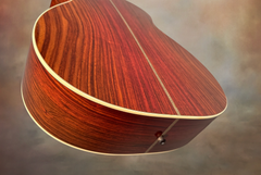 Santa Cruz OM CocoBolo Guitar #6238 with Sinker Redwood Top