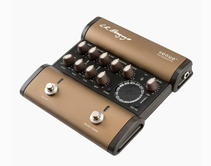 Lr best sale baggs pedals