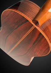 Sexauer FT-000-D Brazilian rosewood guitar snake wood bindings