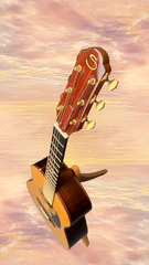 Sexauer FT-000-D Brazilian rosewood guitar promo shot