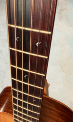 Bruce Sexauer FT-14 Braz rosewood guitar BRW neck