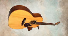 Bruce Sexauer FT-14 Braz rosewood guitar glam shot