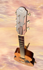 Bruce Sexauer FT-14 Braz rosewood guitar Sky Shot