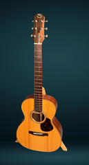 Bruce Sexauer FT-14 Braz rosewood guitar for sale