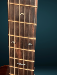 Bruce Sexauer JB L-00 guitar fretboard