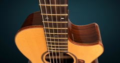 Bruce Sexauer JB L-00 guitar bird inlays