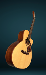 Bruce Sexauer JB L-00 guitar glam shot