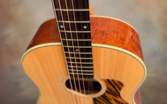 Square Deal JN guitar fretboard with dots