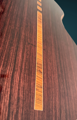 Stehr Auditorium guitar back detail