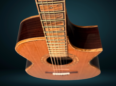 Stehr Auditorium guitar with torrefied Sitka spruce top