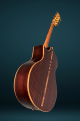 Stehr Auditorium guitar glam shot of back