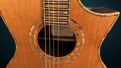 Stehr Auditorium guitar with bocote rosette and top purfling