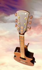 Stehr Auditorium guitar promo shot at GuitarGal.com