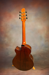 Stephen Strahm Eros C Brz guitar full back view