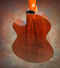 Strahm Eros C Brz guitar back