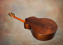 Strahm Eros C Brz guitar glam shot back