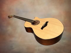 Strahm Eros C Brz guitar glam shot top