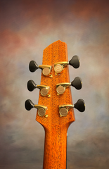 Strahm Eros C Brz guitar Gotoh 10 tuners