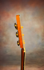 Strahm Eros C Brz guitar neck side dots